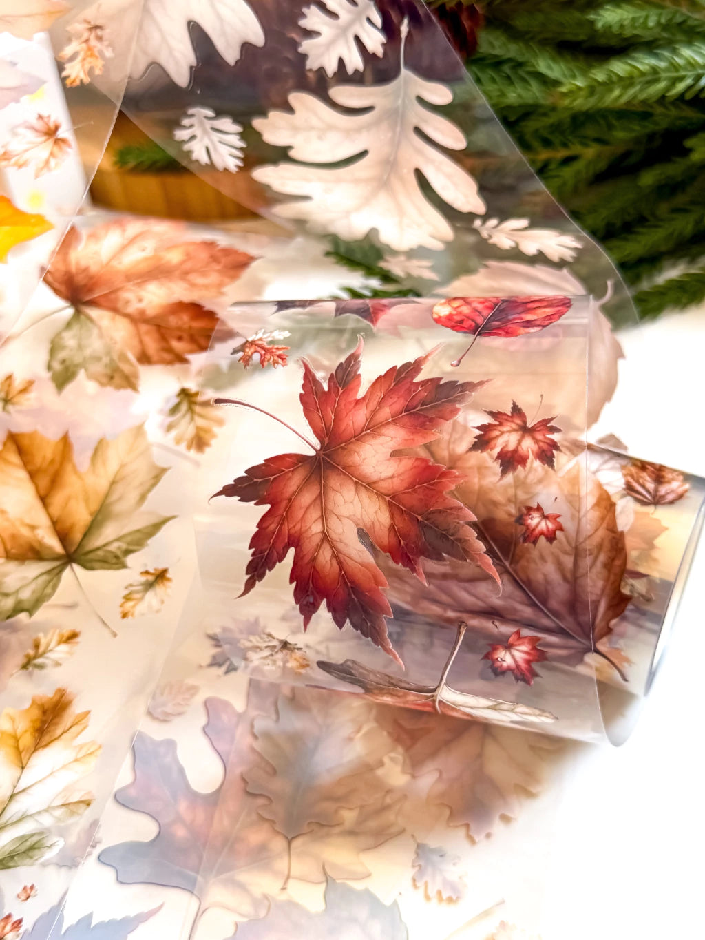 MA - Autumn Comes | PET Tape