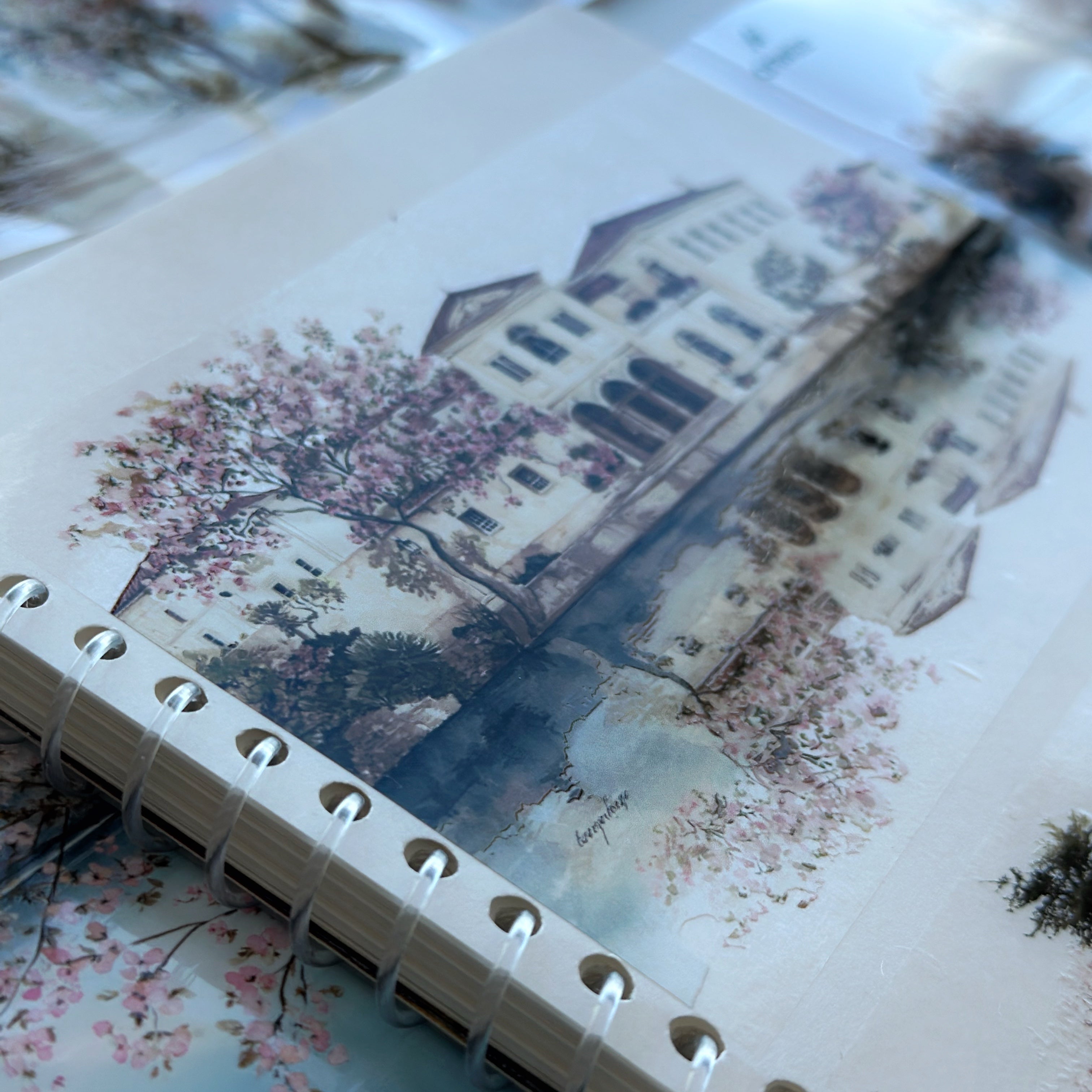 OW - Blush Lake Villa | Wide PET Tape