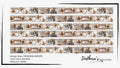 SCS - Botanical Archive | Washi Tape Roll