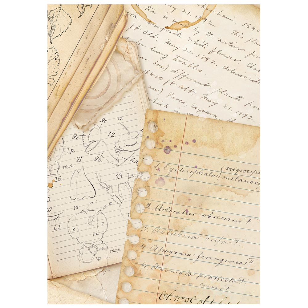 Stamperia - All Around | Mini Rice Paper Backgrounds