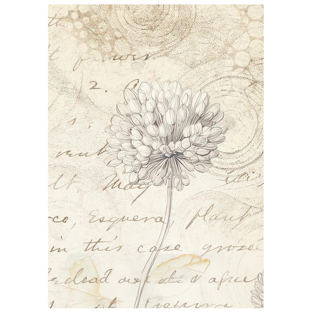Stamperia - All Around | Mini Rice Paper Backgrounds
