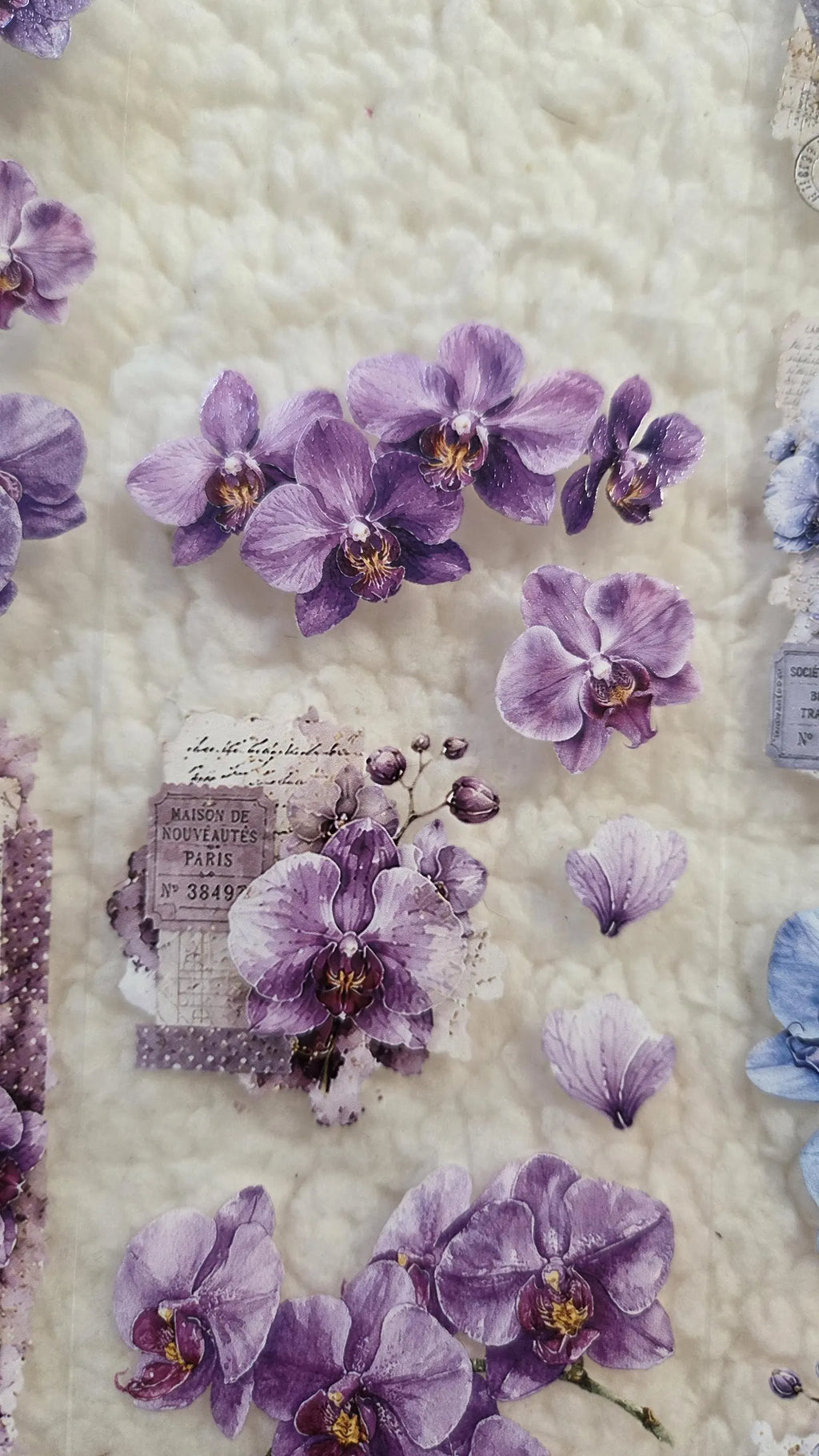 LA - Orchid Symphony | PET Tape