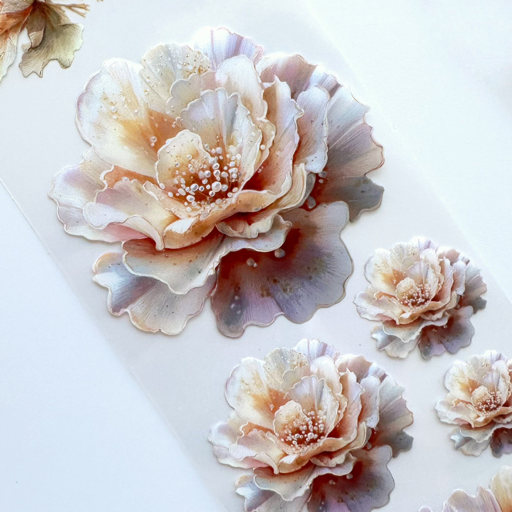 OW - Pearl Bloom SRP 207 | PET Tape