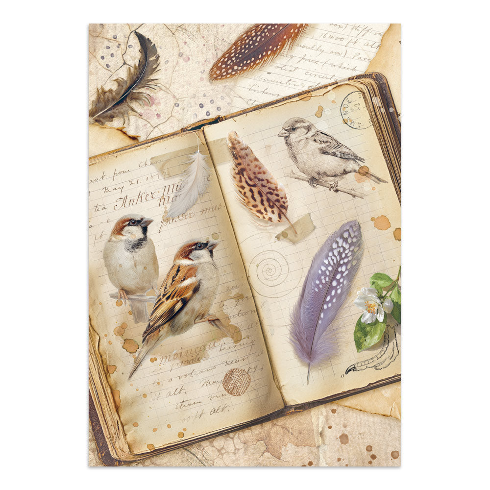 Stamperia - All Around Focus Points | A5 Junk Journal