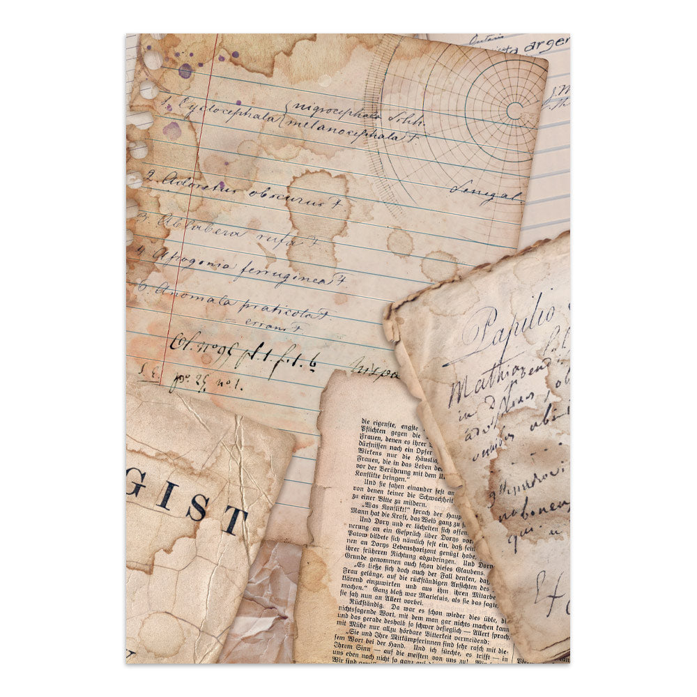 Stamperia - All Around Focus Points | A5 Junk Journal