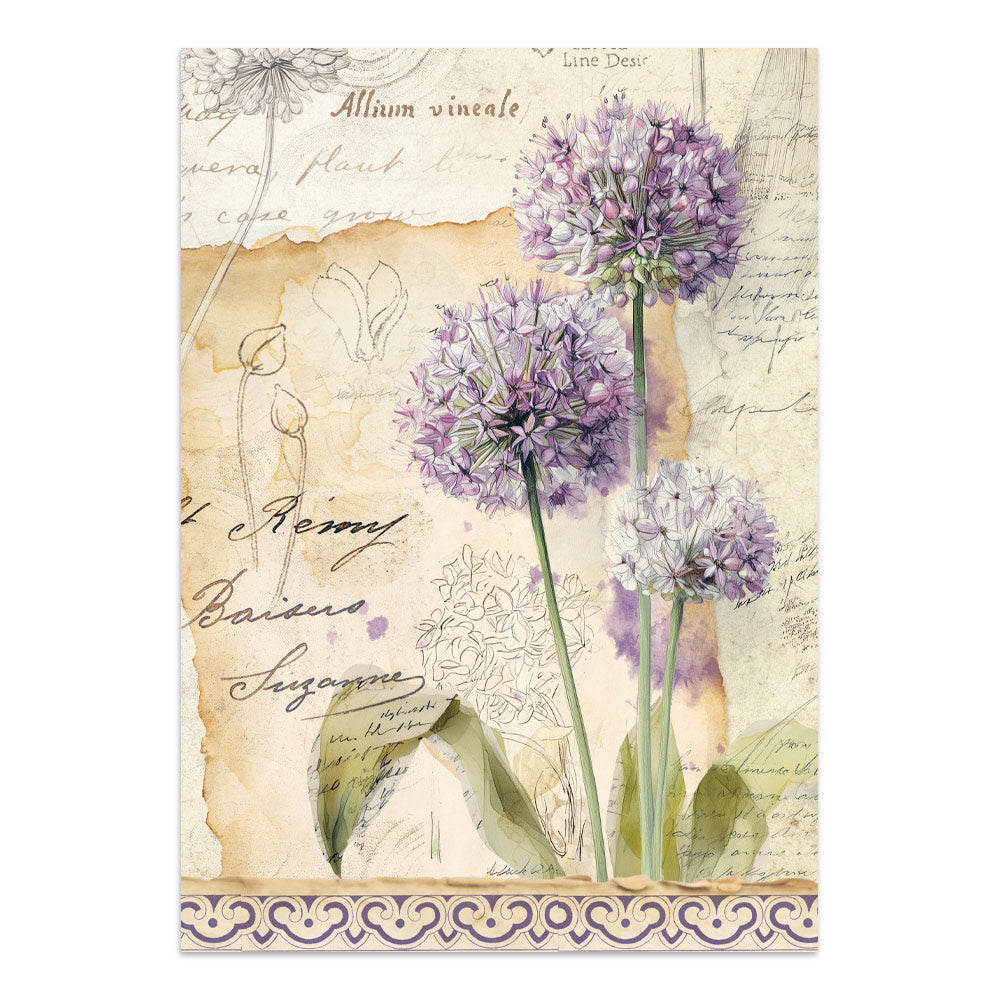 Stamperia - All Around Focus Points | A5 Junk Journal