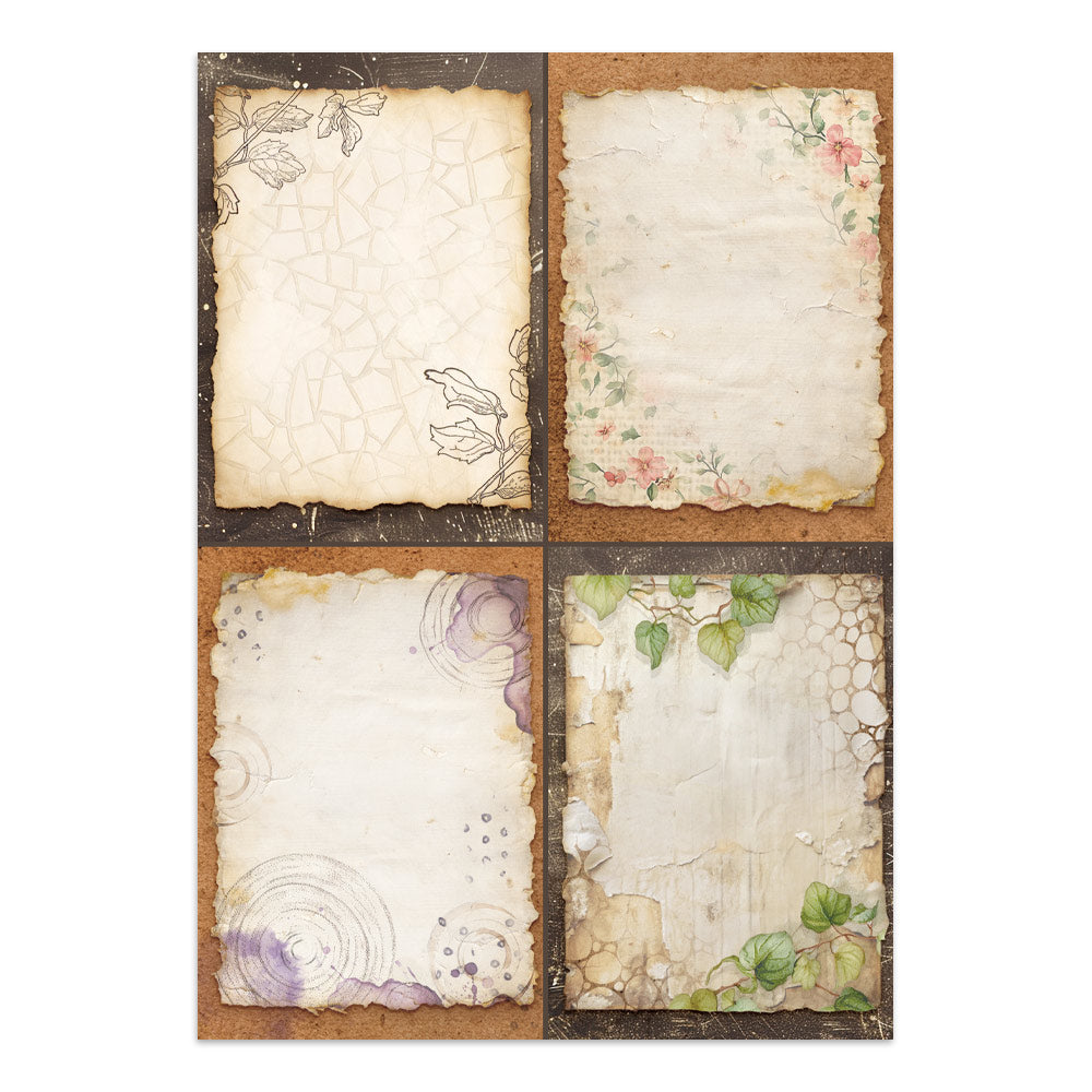 Stamperia - All Around Focus Points | A5 Junk Journal