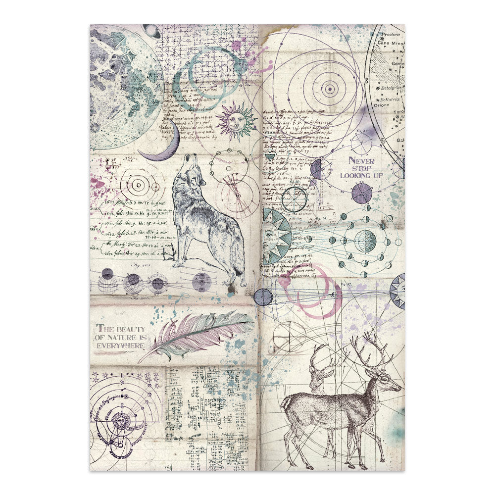 Stamperia - Cosmos Focus Points | A5 Junk Journal