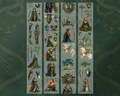 The Elven Princess PET Tape