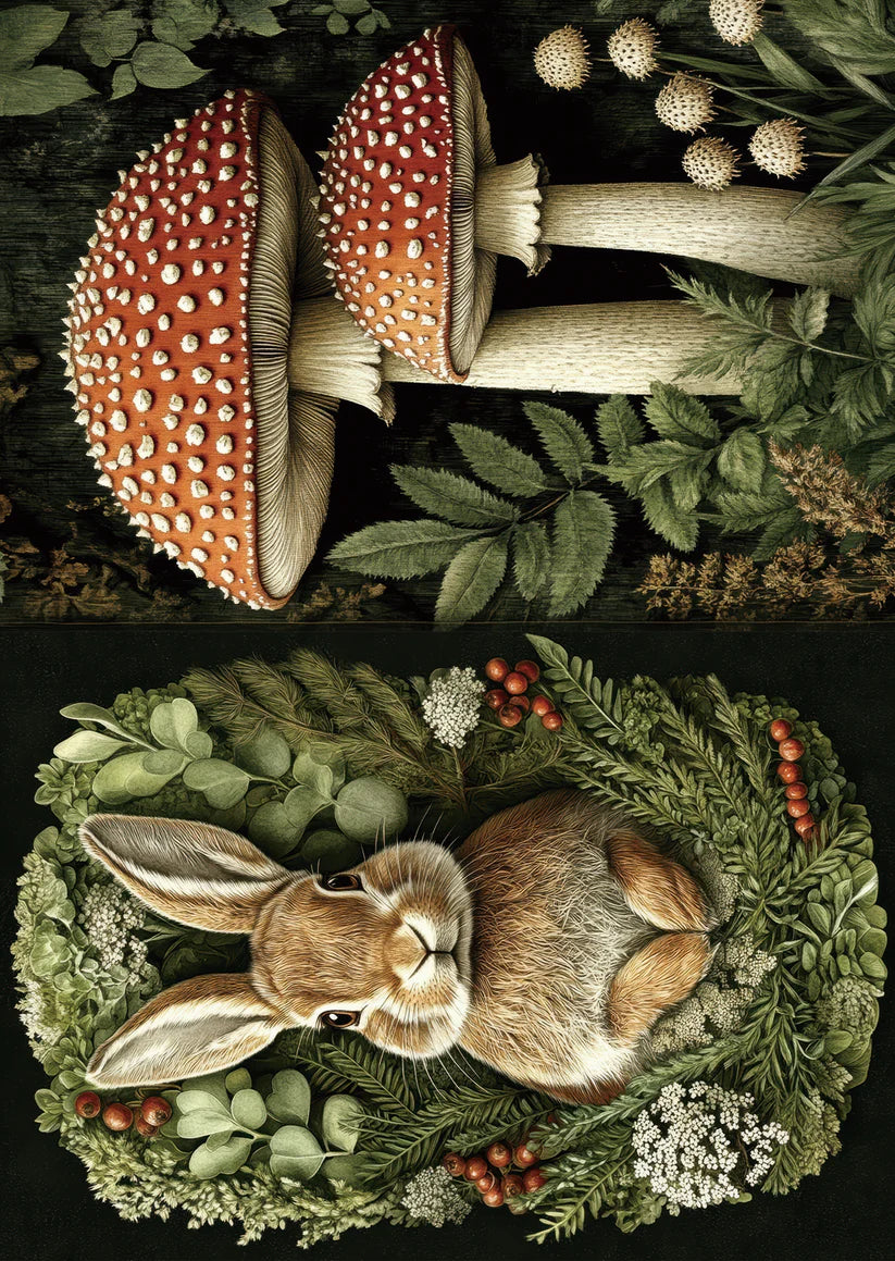 TP - The Hidden Woodland | Scrapbooking Papers