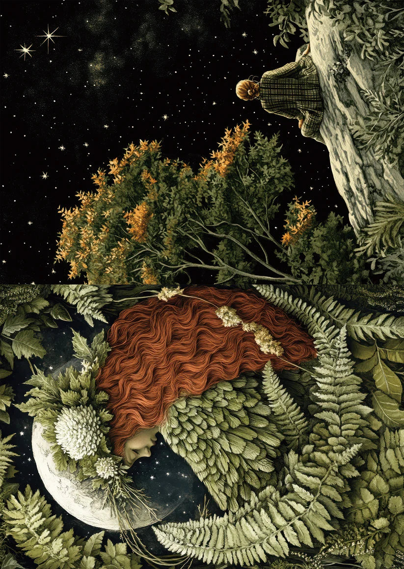 TP - The Hidden Woodland | Scrapbooking Papers