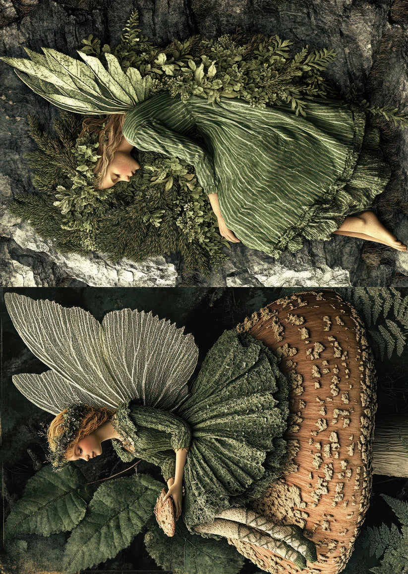 TP - The Hidden Woodland | Scrapbooking Papers