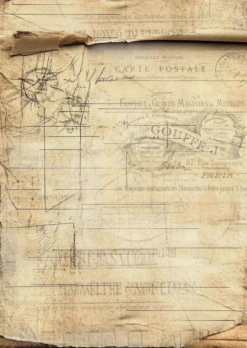 TP - Timeless Paper Fragments | Scrapbooking Papers