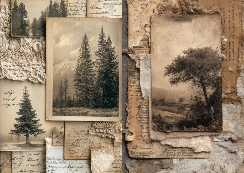 TP - Timeless Paper Fragments | Scrapbooking Papers