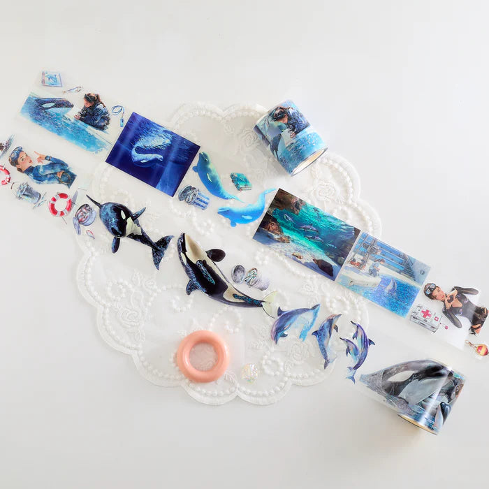 SH - Whale & Dolphin Hall | PET Tape
