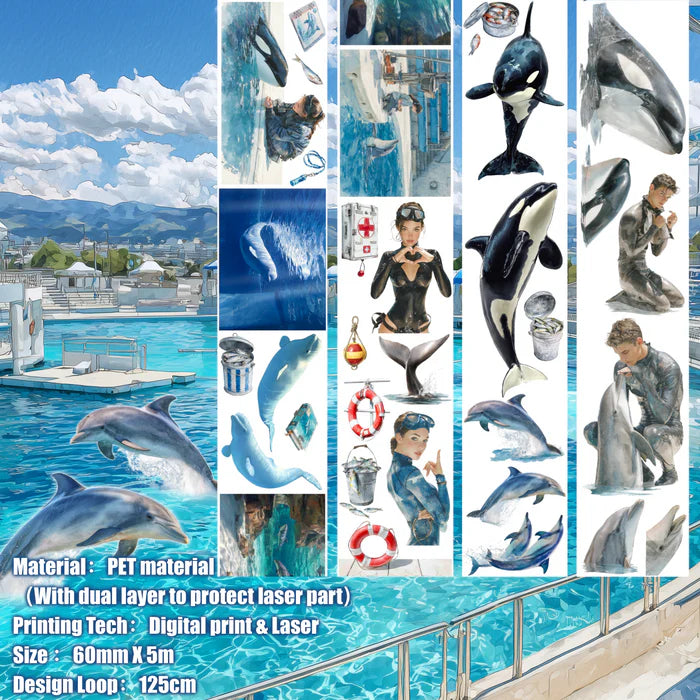 SH - Whale & Dolphin Hall | PET Tape