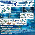 SH - Sala del Tiburón Ballena | Cinta PET
