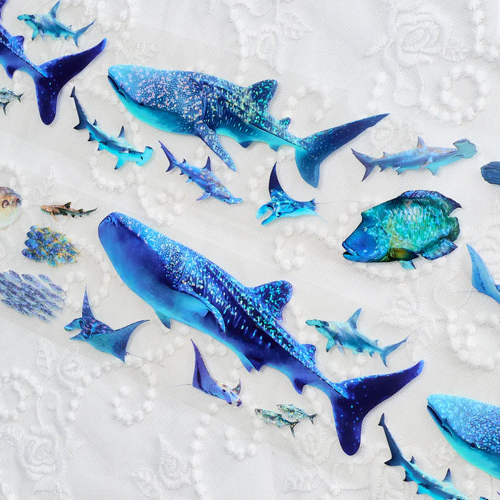 SH - Sala del Tiburón Ballena | Cinta PET