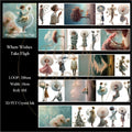 TP - Where Wishes Take Fligh | Wide PET Tape
