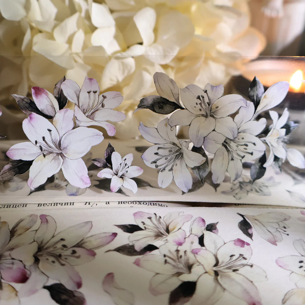 Y - Lily Flower Language
