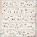 Y - White Small Chrysanthemum
