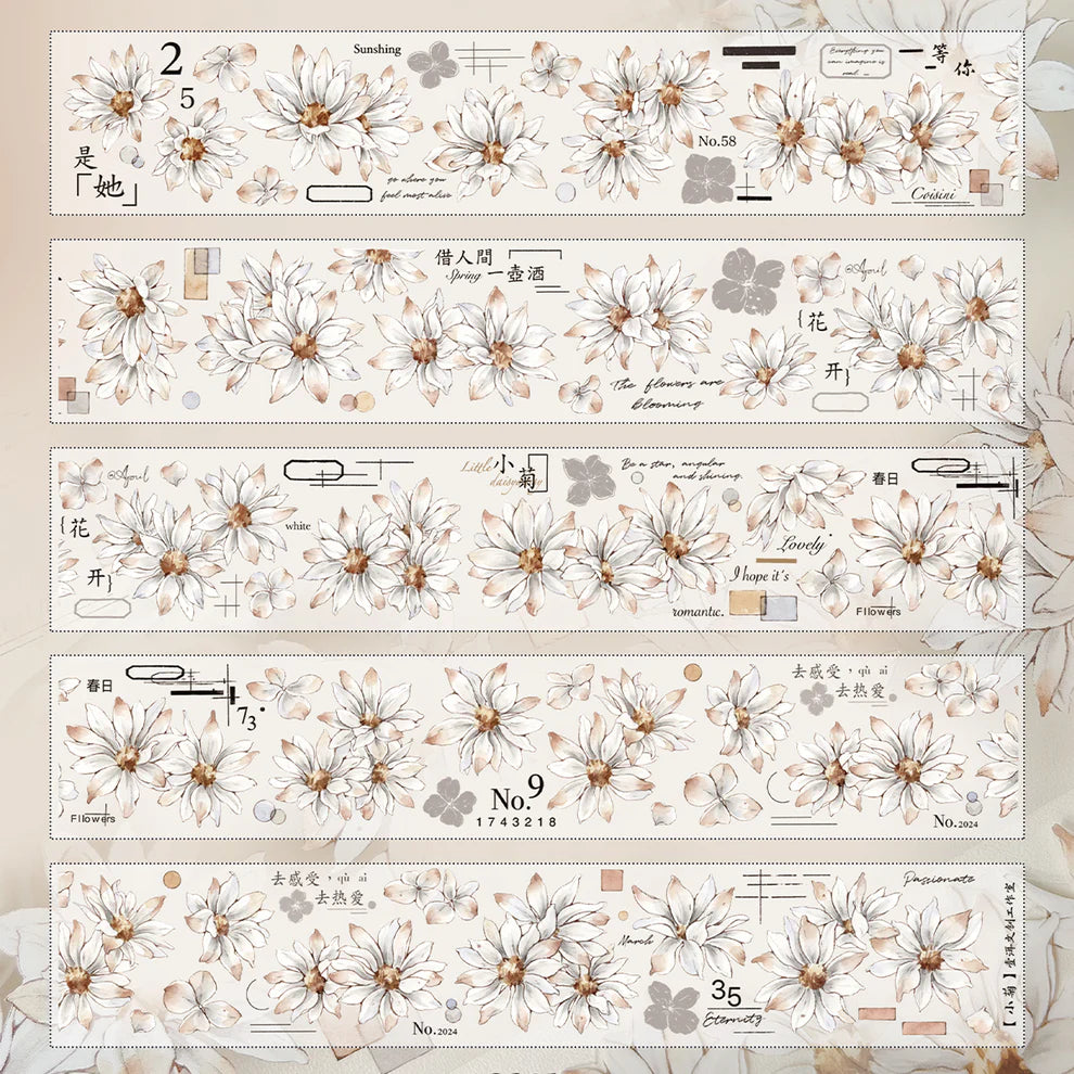 Y - White Small Chrysanthemum