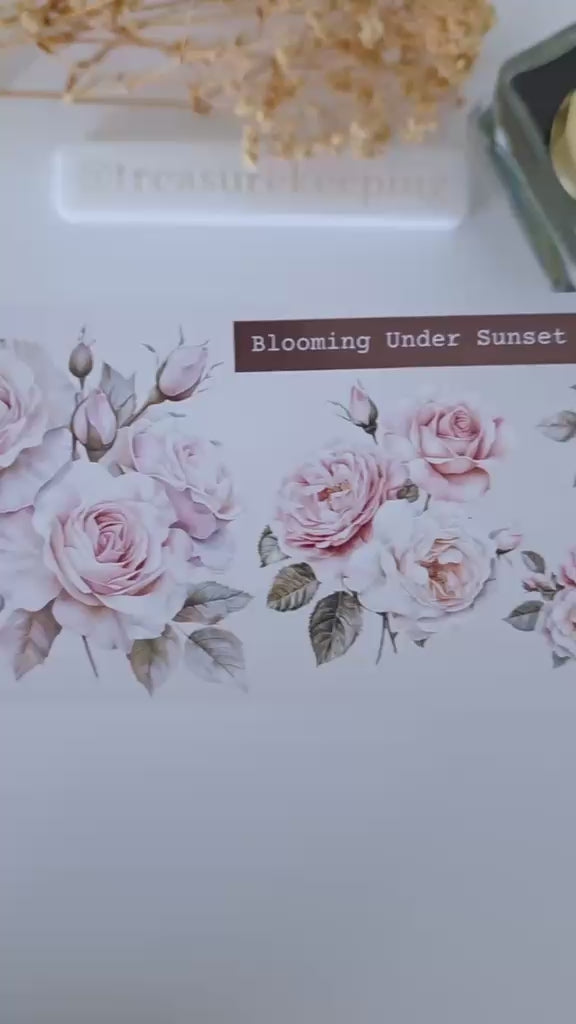 TK - Vintage Bloom Diary | Matt PET Tape