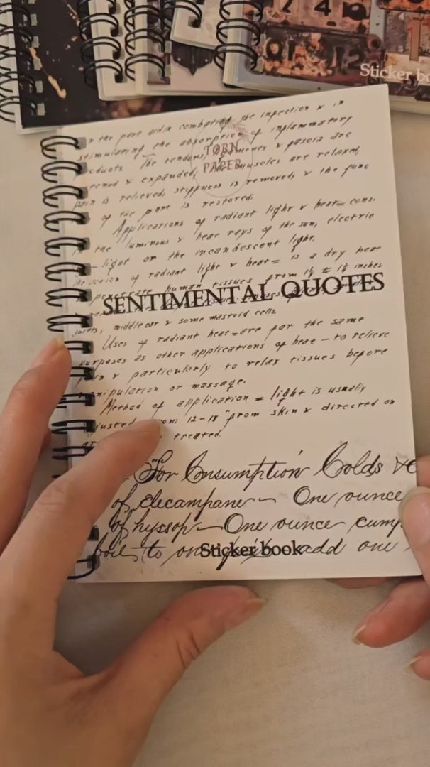 TP - Sentimental Quotes | PET Sticker Book