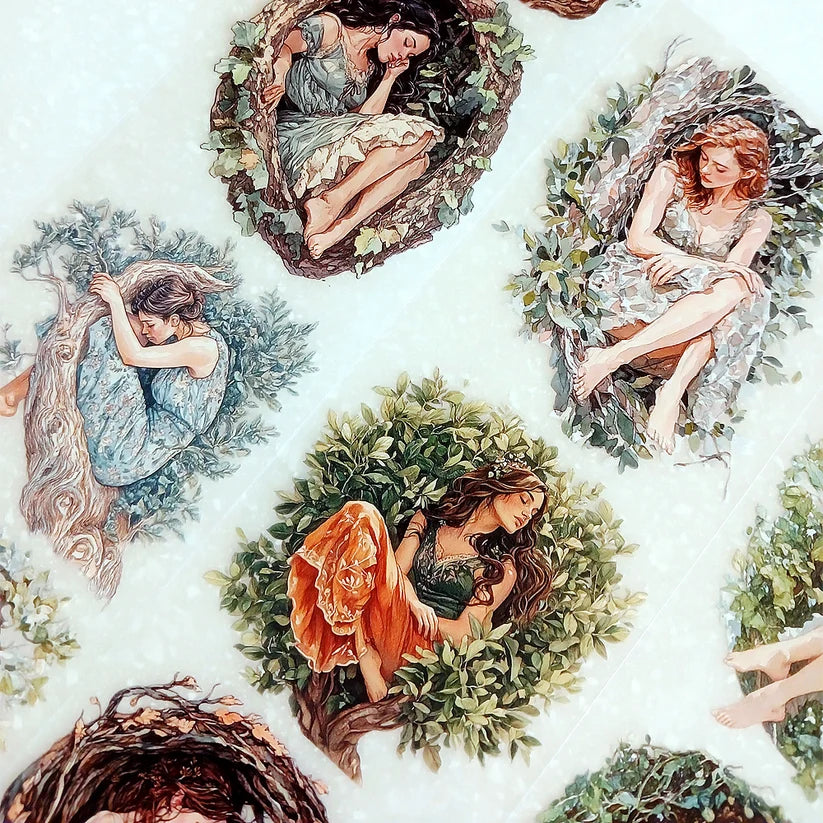 TP - Bosque Vintage Damas | Cinta PET
