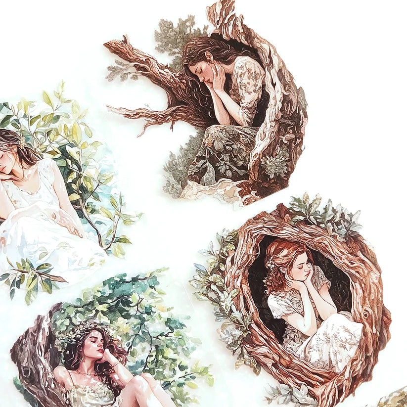 TP - Bosque Vintage Damas | Cinta PET